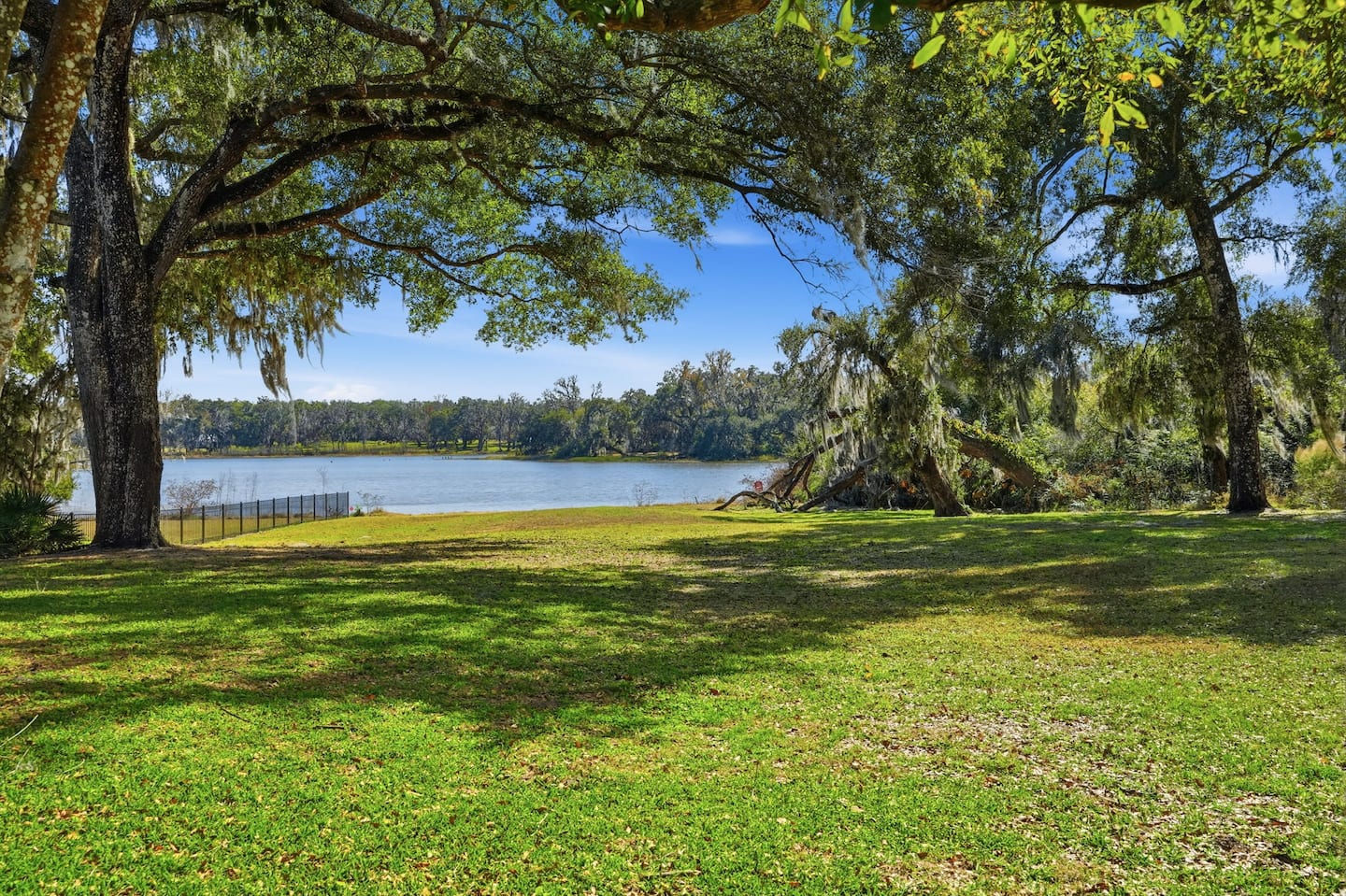 The lake through the oaks — Lakeview Estate